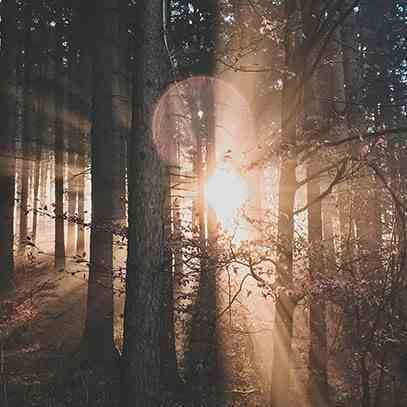 Zapas do dyfuzora 500ml Velvet Wood CERERIA MOLLA  