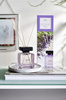 Dyfuzor 200ml Lavender Touch ESSENTIALS ipuro