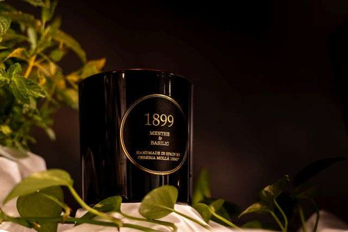 Świeca Premium Menthe and Basilic 230 gr CERERIA MOLLA