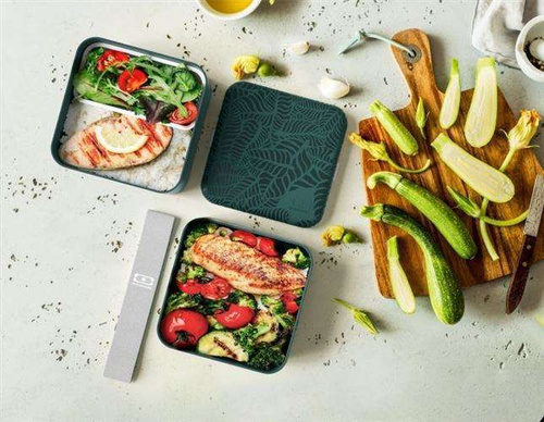 Lunchbox Bento Square Graphic Jungle MONBENTO