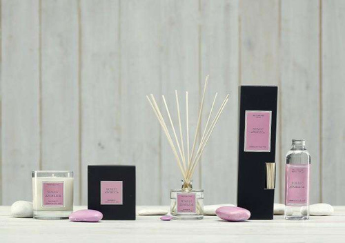 Dyfuzor Santiago 100 ml Nordic Angelica CERERIA MOLLA