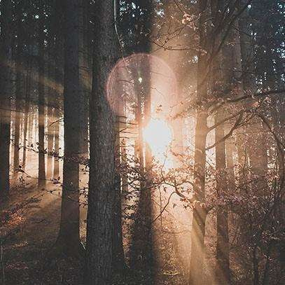 Świeca XXL 3,5 kg Velvet Wood CERERIA MOLLA