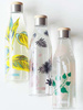 Butelka szklana 600ml Metis Birds SIGG