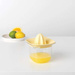 Wyciskacz do cytrusów Tasty+ BRABANTIA