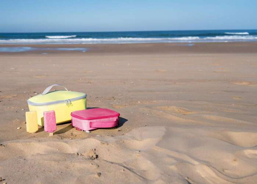 Torba Thermocase twist pink REISENTHEL