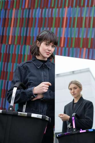 Koszyk carrybag frame platinum/black REISENTHEL