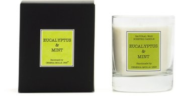 Świeca Santiago Eucalyptus&Mint 230 gr. CERERIA MOLLA