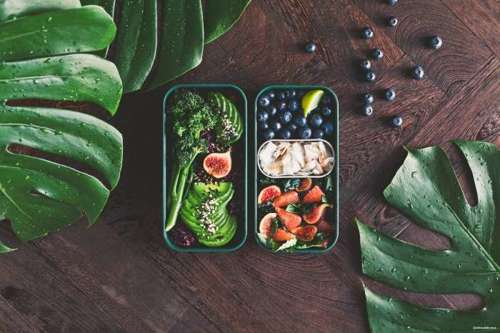 Lunchbox Bento Original Graphic Jungle MONBENTO