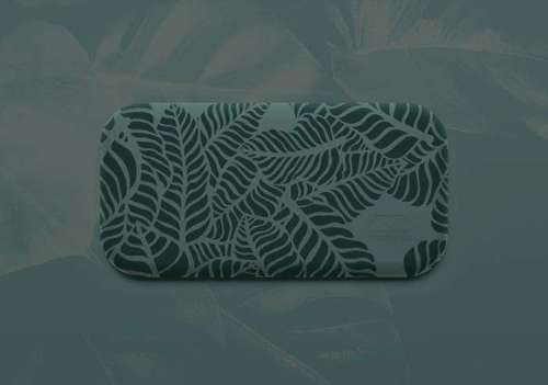 Lunchbox Bento Original Graphic Jungle MONBENTO