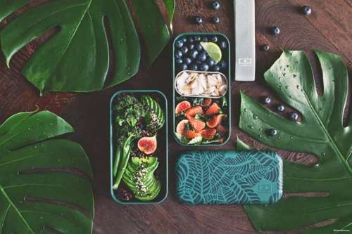 Lunchbox Bento Original Graphic Jungle MONBENTO