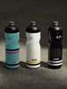 Bidon 750ml Pulsar Glacier SIGG 